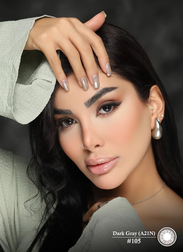 لنز رنگی فصلی آرین کد 105 طوسی تیره طبیعی، Arian Seasonal Contact Lenses Dark Gray A21N #105